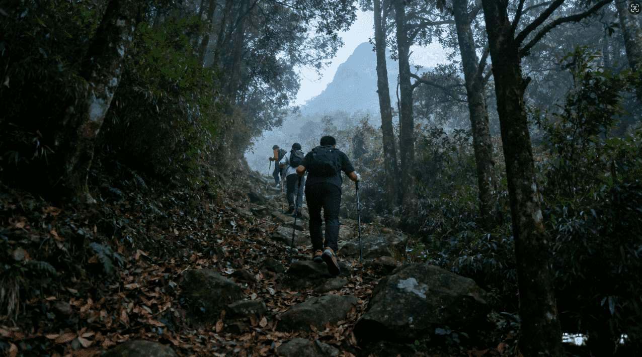 免费永久雷霆加速器，极速畅游互联网无压力